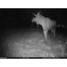 An Image Captured by Bresser 12 Megapixel Game Camera Outdoors