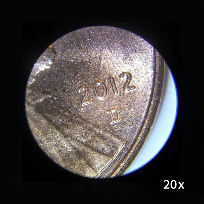 Image No.2 Taken Using Barska 20x, 40x Stereo Binocular Microscope