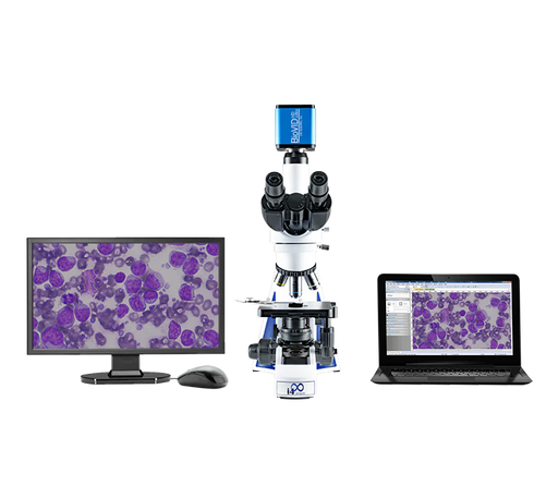 LW Scientific Innovation Trinocular with BioVID 1080+ Microscope Camera and Monitor