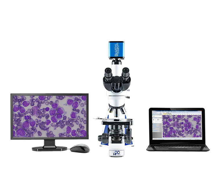 LW Scientific Innovation Trinocular with BioVID 1080+ Microscope Camera and Monitor