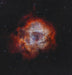 Vaonis Vespera II Smart Telescope Rosette Nebula