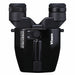Vixen ATERA H10x21mm Binoculars with Stabilizer Body Standing Straight Black Variant