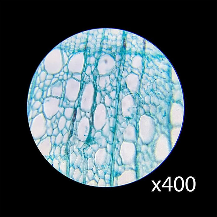 Barska 40x - 2000x Binocular Compound Microscope
